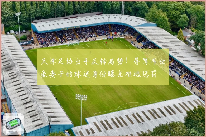 天津足协出手反转局势！辱骂韦世豪妻子的球迷身份曝光难逃惩罚
