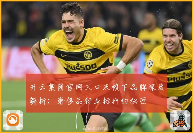 开云集团官网入口及旗下品牌深度解析：奢侈品行业标杆的秘密