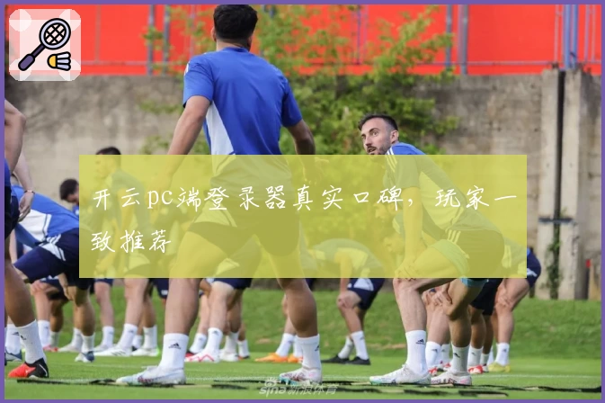 开云pc端登录器真实口碑，玩家一致推荐