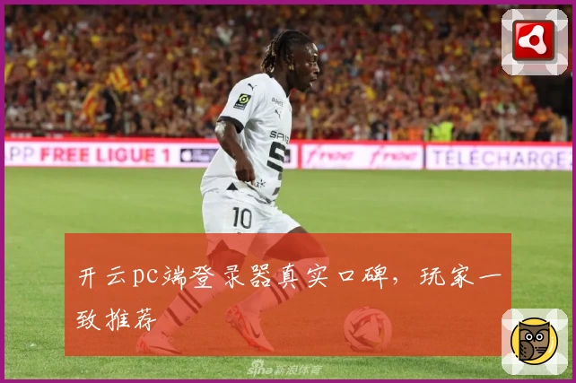 开云pc端登录器真实口碑，玩家一致推荐