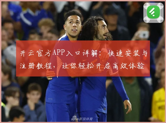 开云官方APP入口详解：快速安装与注册教程，让你轻松开启高效体验