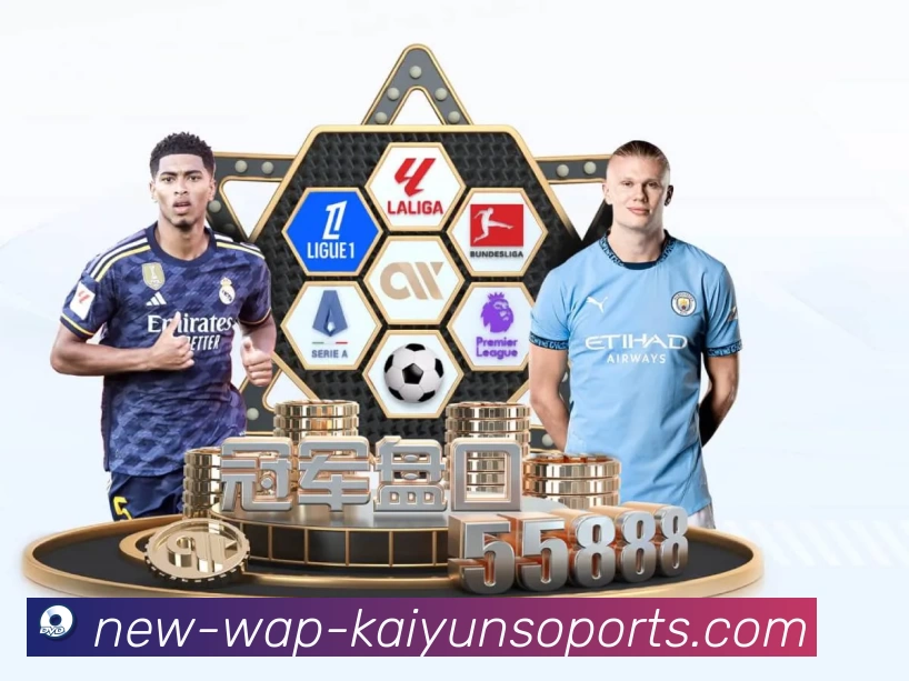 开云平台生态图